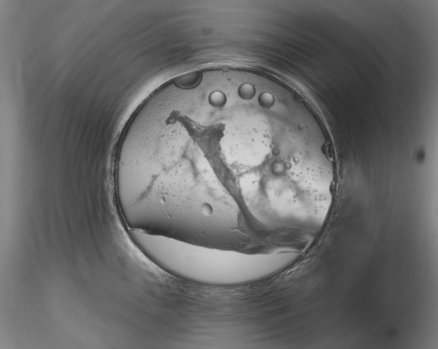 X0000115791243200911271219