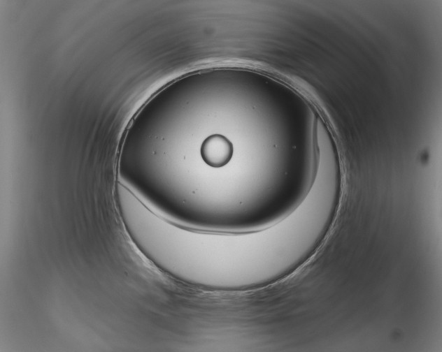 X0000115791244200911271219