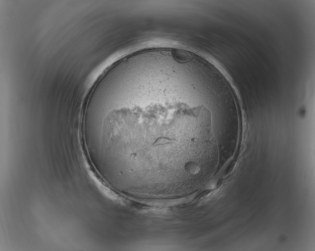 X0000115791245200911271219