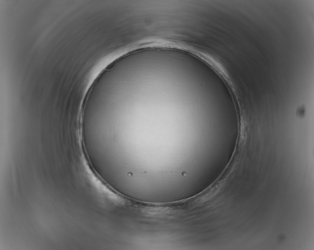 X0000115791247200911271219