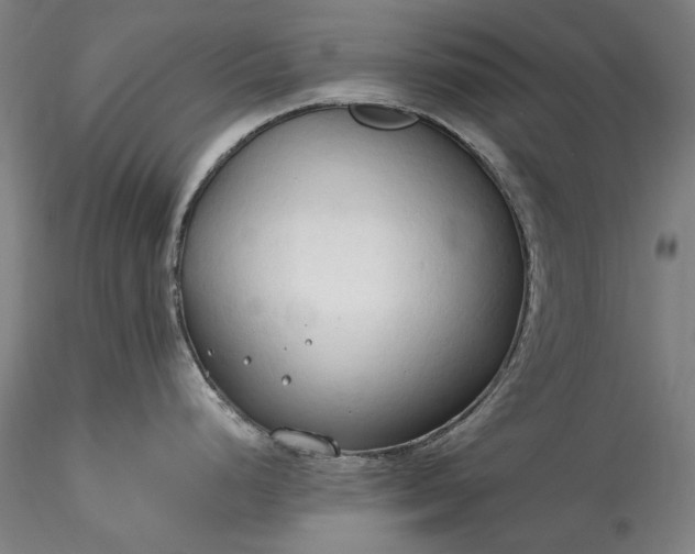 X0000115791248200911271219