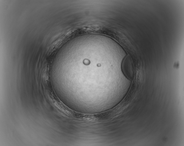 X0000115791250200911271219