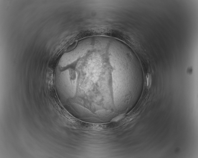 X0000115791251200911271219