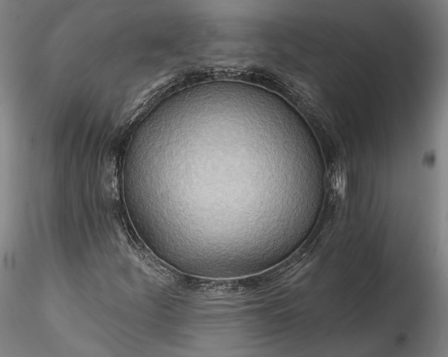 X0000115791252200911271219