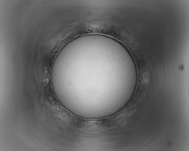 X0000115791253200911271219