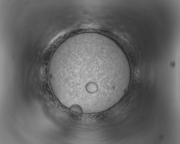 X0000115791254200911271219