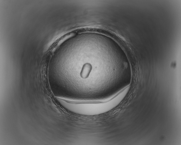 X0000115791255200911271219