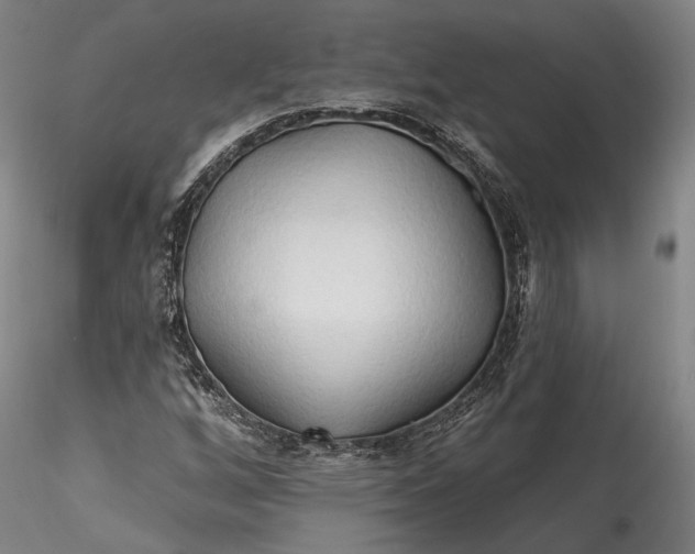 X0000115791256200911271219