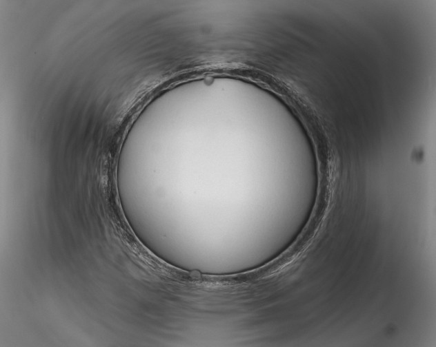 X0000115791257200911271219