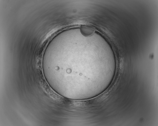 X0000115791258200911271219