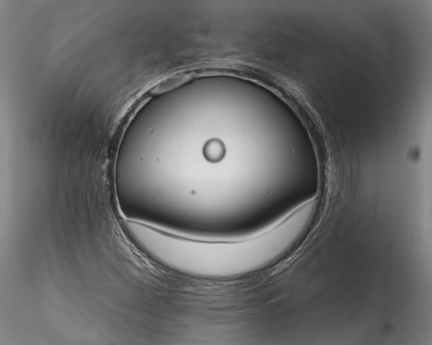 X0000115791260200911271219