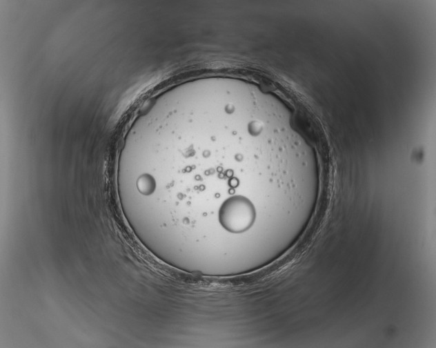 X0000115791261200911271219