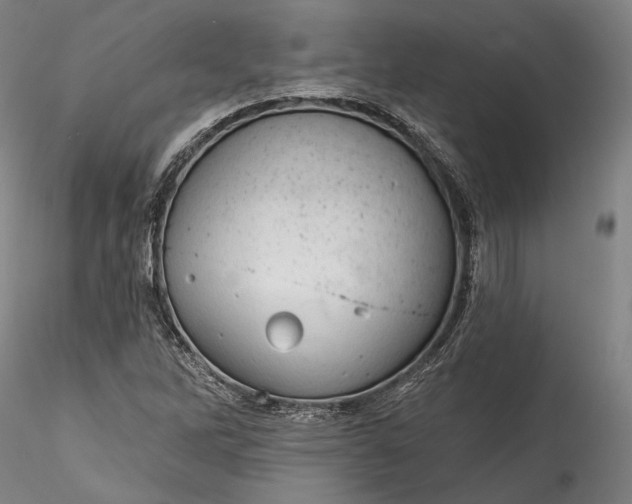 X0000115791262200911271219