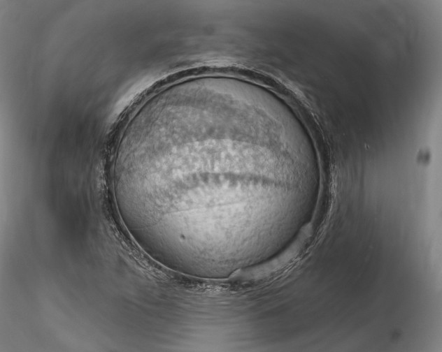 X0000115791263200911271219