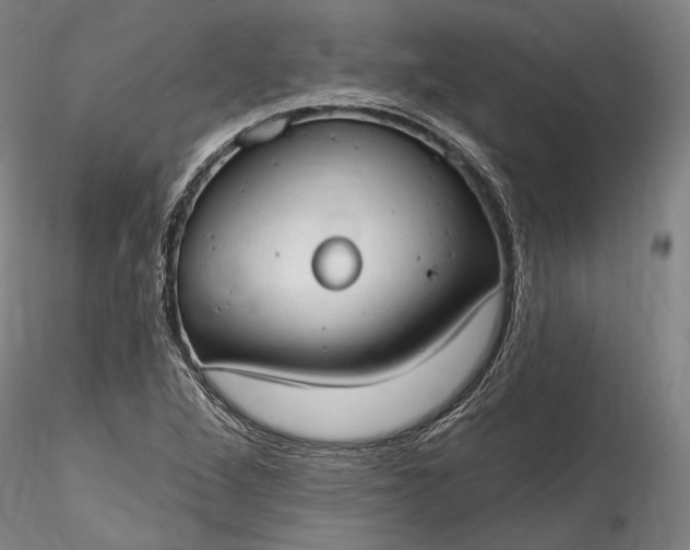 X0000115791264200911271219