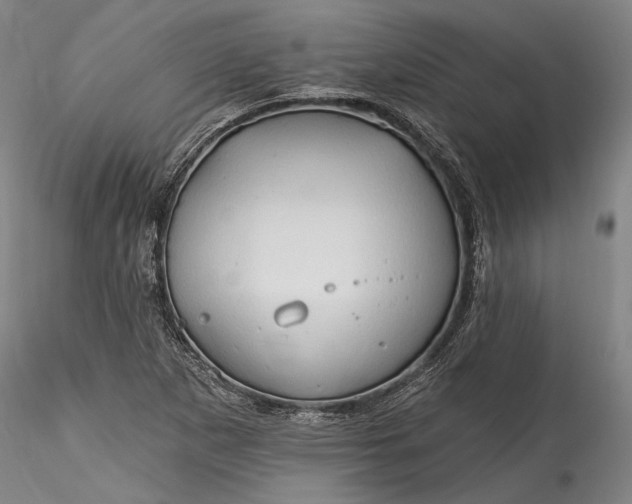 X0000115791265200911271219