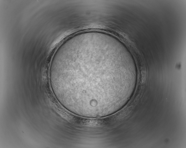 X0000115791266200911271219