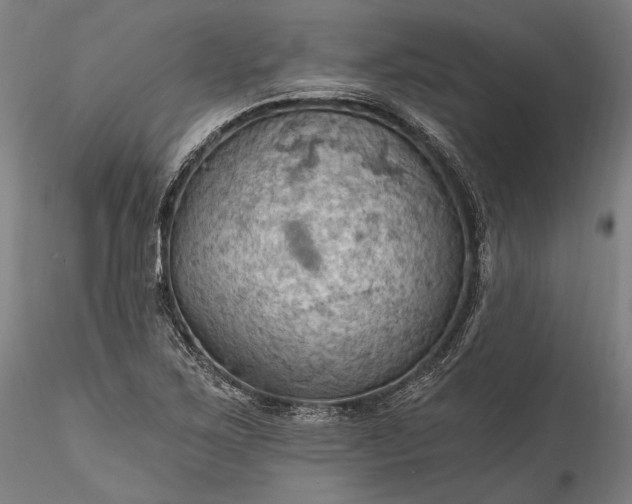 X0000115791267200911271219