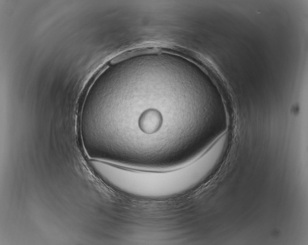 X0000115791268200911271219