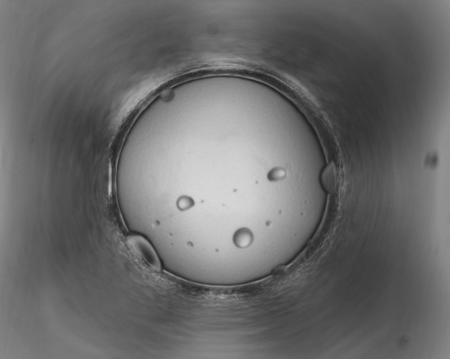 X0000115791269200911271219