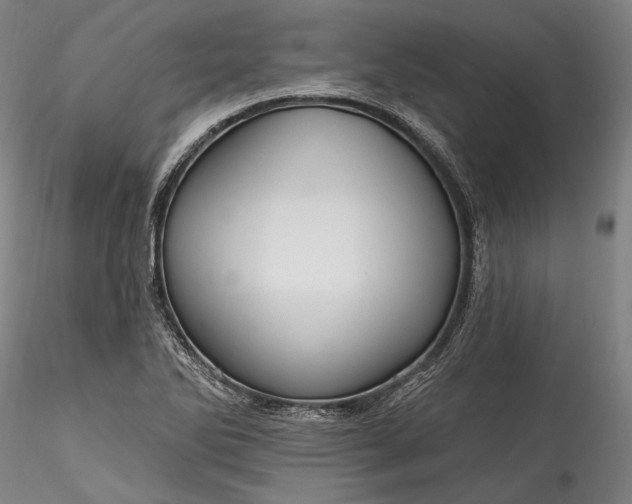 X0000115791270200911271218