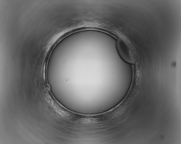 X0000115791272200911271218