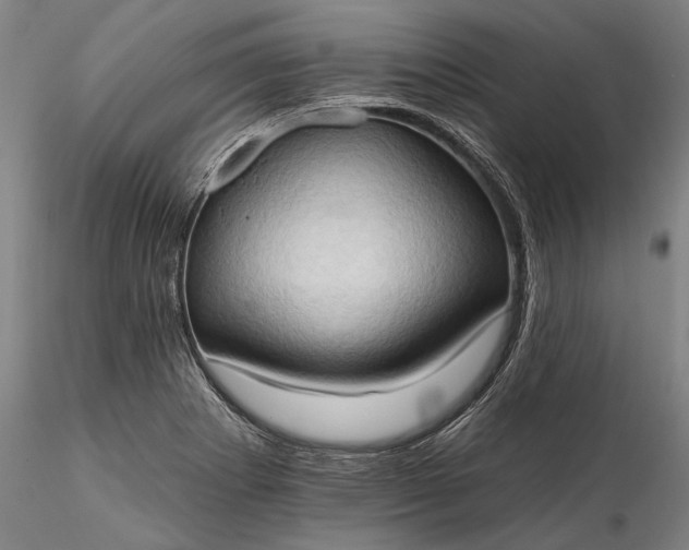 X0000115791273200911271218