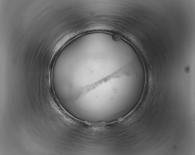 X0000115791274200911271218