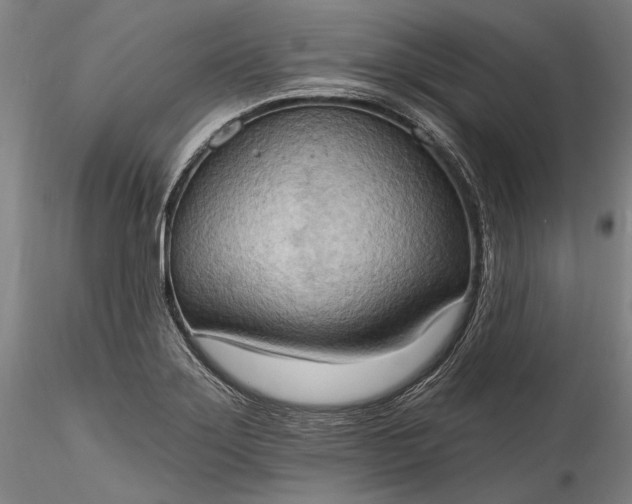 X0000115791275200911271218