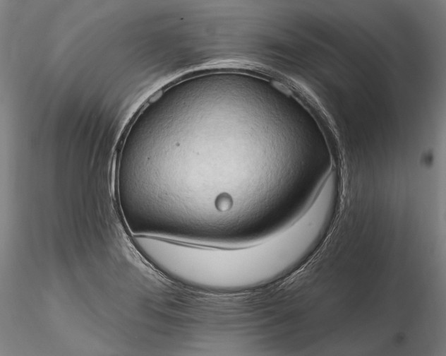 X0000115791276200911271218