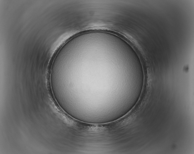 X0000115791277200911271218