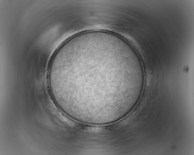 X0000115791278200911271218