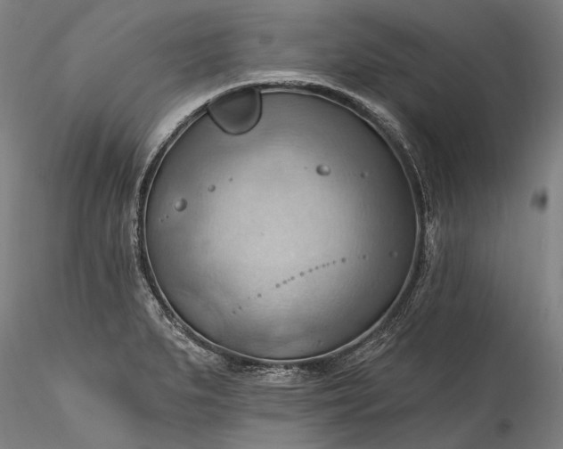 X0000115791279200911271218