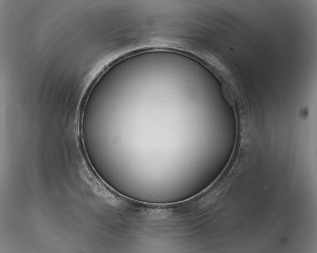 X0000115791280200911271218