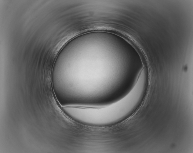 X0000115791281200911271218