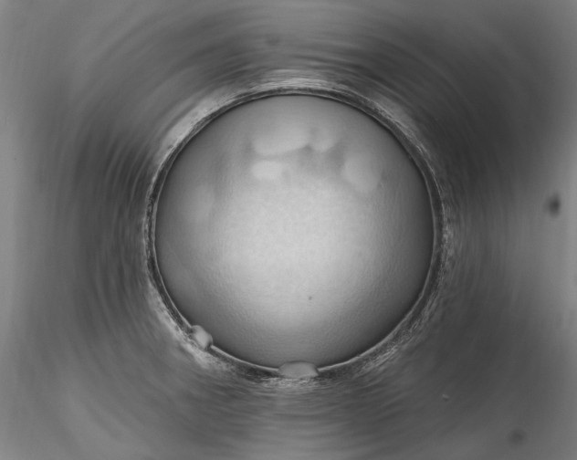 X0000115791282200911271218