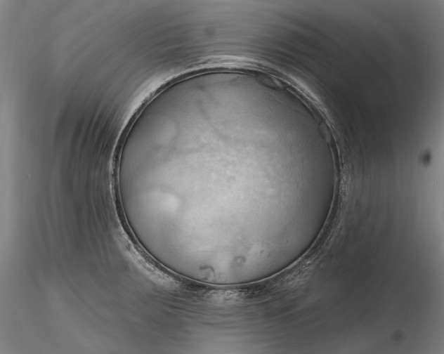 X0000115791283200911271218