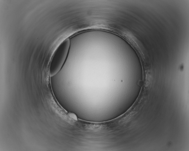 X0000115791284200911271218