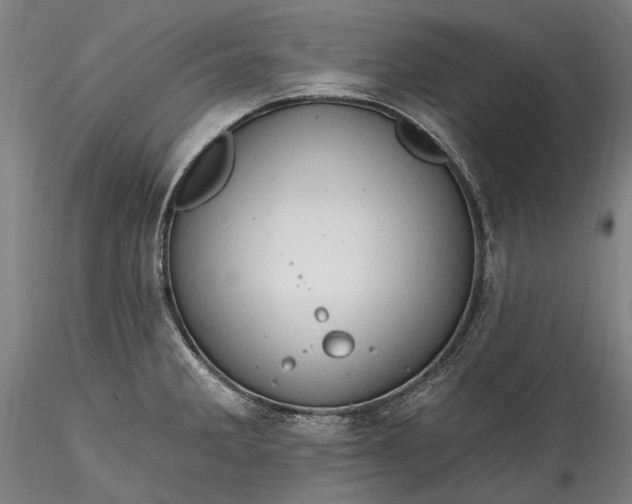 X0000115791285200911271218