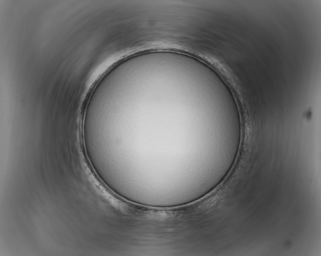 X0000115791286200911271218