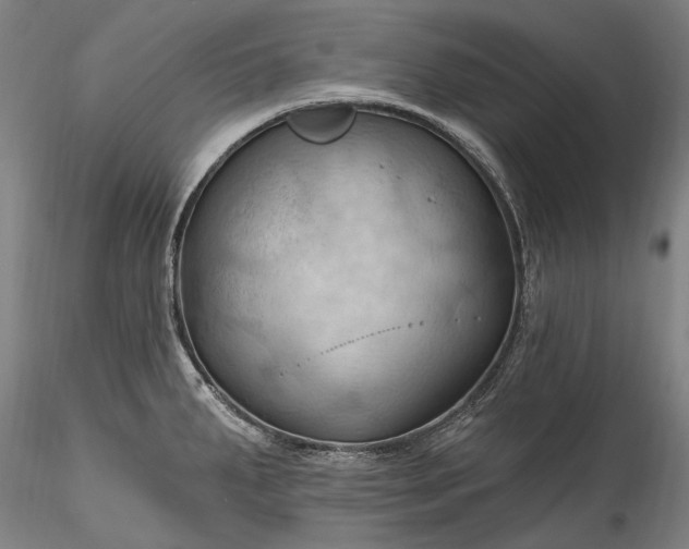 X0000115791287200911271218