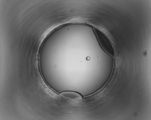 X0000115791288200911271218