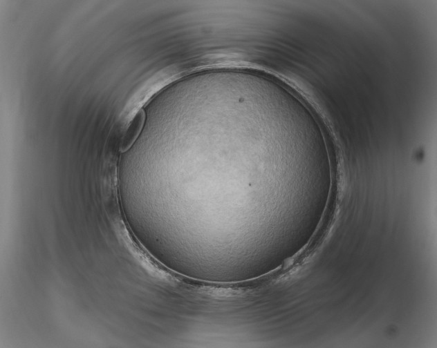 X0000115791289200911271218