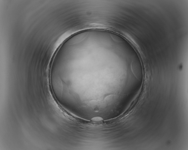 X0000115791291200911271218