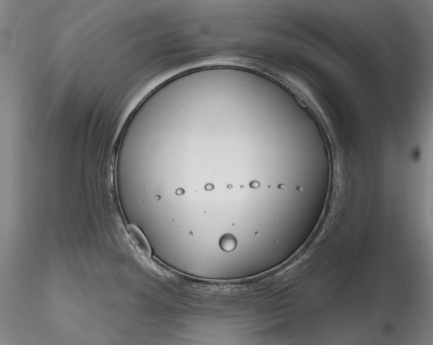 X0000115791292200911271218