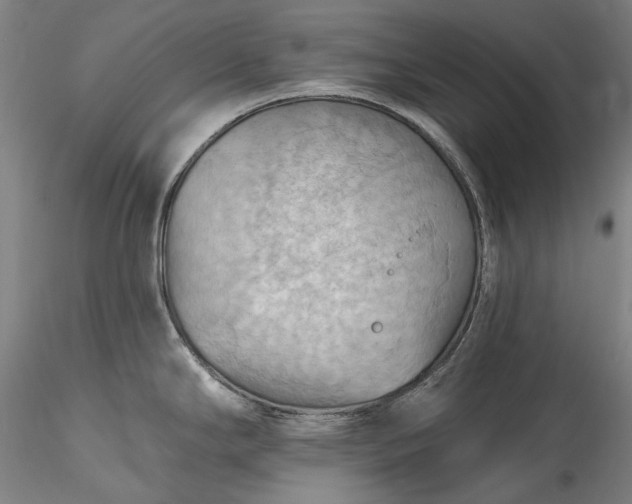 X0000115791294200911271218