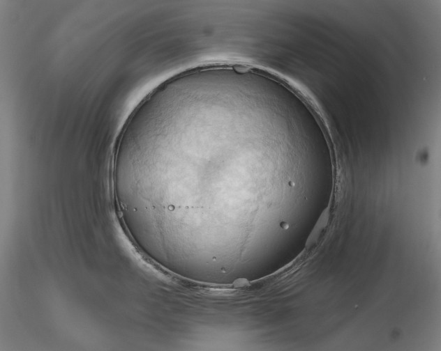 X0000115791295200911271218