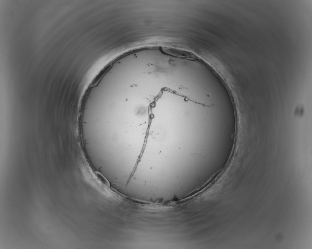 X0000115791296200911271218