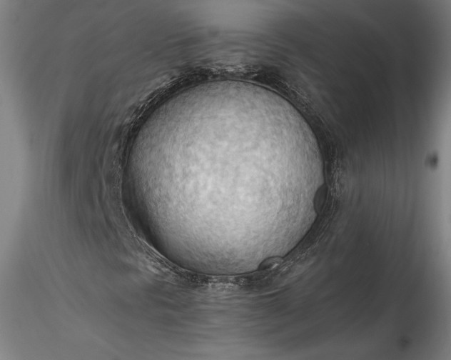 X0000115791297200911271217