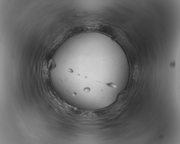 X0000115791298200911271217